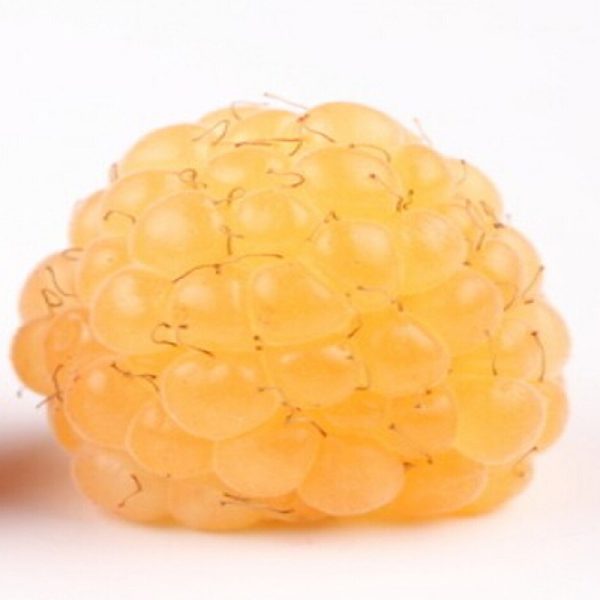 FRAMBOESA AMARELA de VASO🍇💛🪴 - Image 4