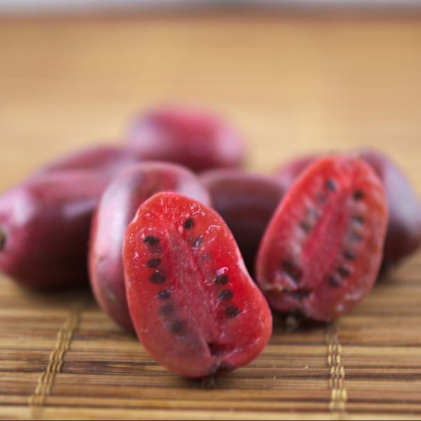 🥝Mini Kiwi Vermelho🥝 - Image 2