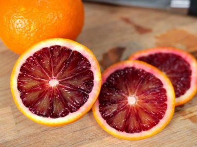 Laranjeira de Sangue🍊🩸🇮🇹