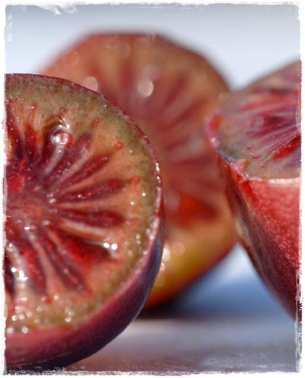 🥝Mini Kiwi Vermelho🥝 - Image 6