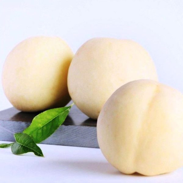 Pessegueiro de Fruto Branco do Japão🍑🤍🇯🇵 - Image 8