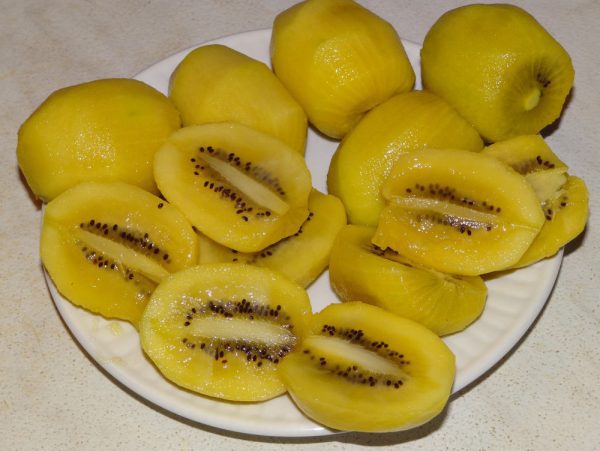 🥝Kiwi Amarelo Dourado🥝 - Image 8