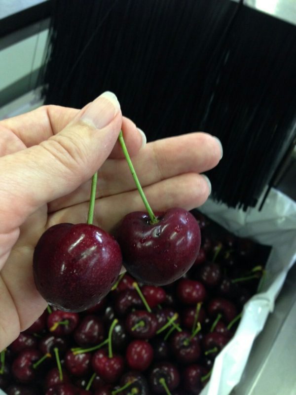 Cerejeira de fruto gigante - Image 15
