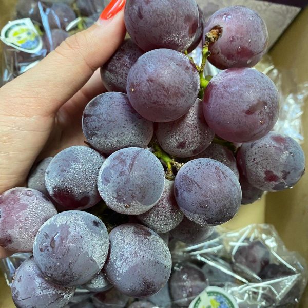 Videira de uvas Gigantes do Japão - Image 5