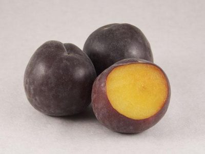 Alperce Preto “Principe” – Hibrido (Alperce-Ameixa)