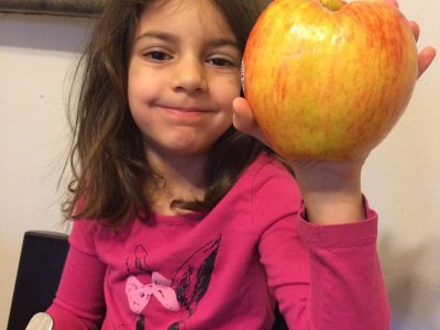 Macieira da Maçã GIGANTE INGLESA 🍎😁🇬🇧