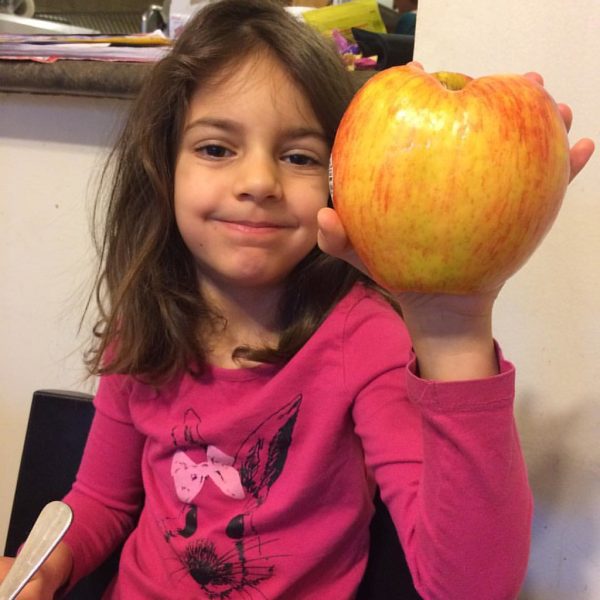 MACIEIRA da MAÇÃ GIGANTE SEKAI ICHI do JAPÂO🍎😁🇯🇵 - Image 11