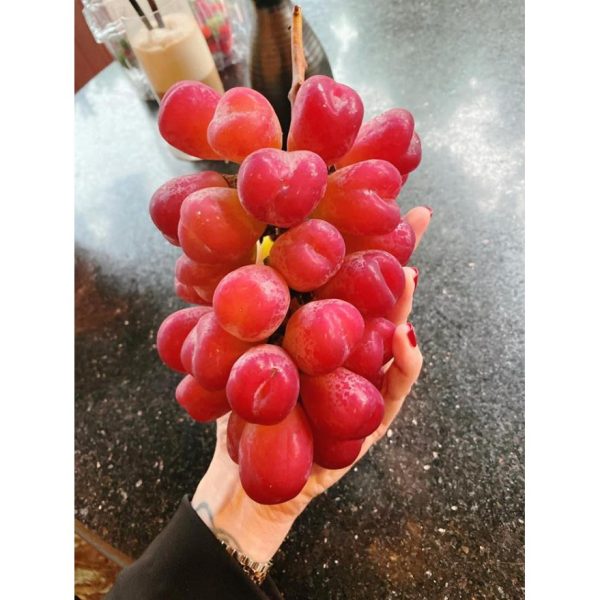 Videira de Uvas do meu Coração Rosê🍇❤️🇯🇵 - Image 3