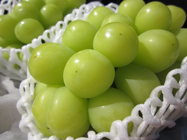 Videira de Uvas do meu Coração Branco🍇💚🇯🇵 - Image 4