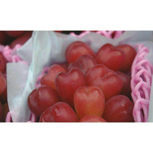 Videira de Uvas do meu Coração Rosê🍇❤️🇯🇵 - Image 16