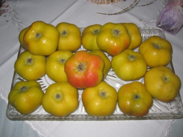 MACIEIRA da MAÇÃ em forma de ESTRELA🍏✨ - Image 9