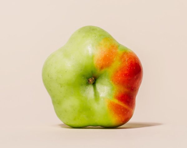 MACIEIRA da MAÇÃ em forma de ESTRELA🍏✨ - Image 7