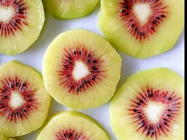 🇨🇳Kiwi Vermelho Chinês🇨🇳 - Image 16