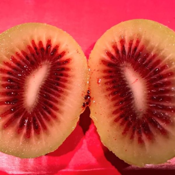 🇨🇳Kiwi Vermelho Chinês🇨🇳 - Image 10