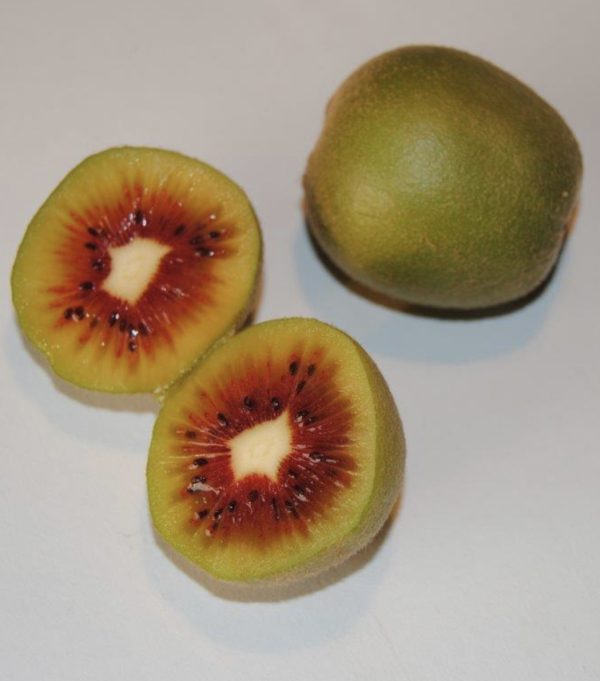 🇨🇳Kiwi Vermelho Chinês🇨🇳 - Image 13
