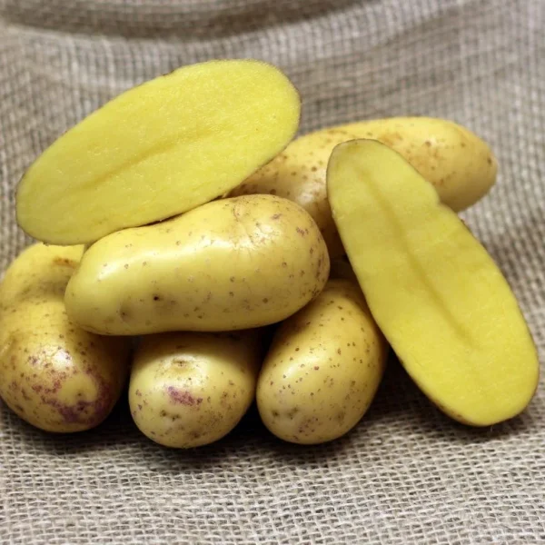 BATATAS MIX - Image 8