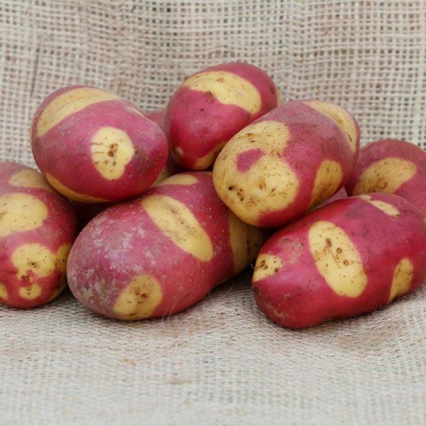 BATATAS TIGRE ROSA Gourmet - Image 10