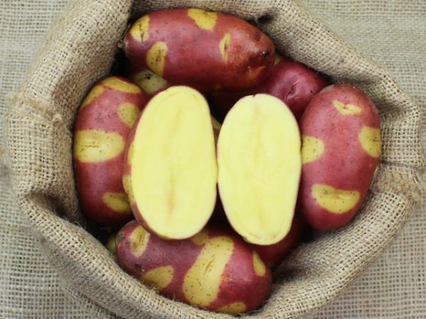 BATATAS TIGRE ROSA Gourmet - Image 6