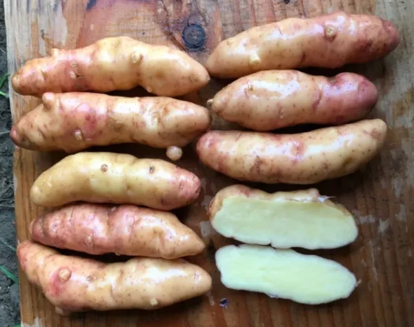 BATATAS BANANA MIX - Image 5