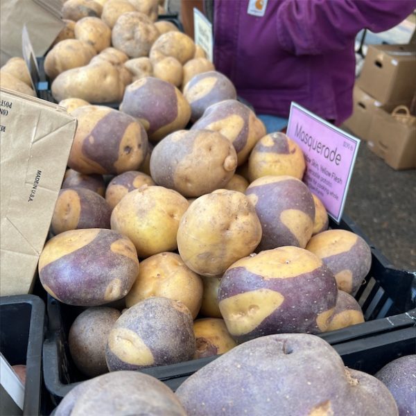 BATATAS TIGRE AZUL - Image 3