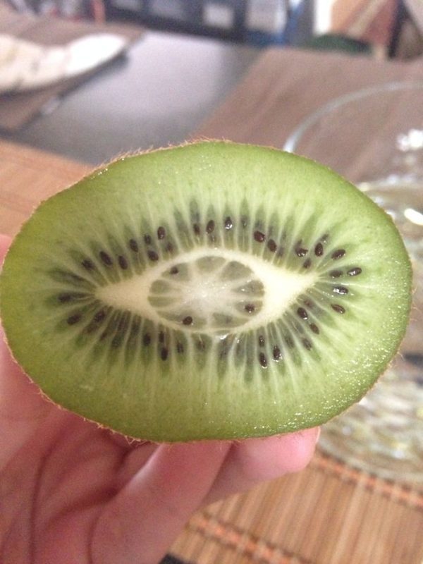 Kiwi Gigante