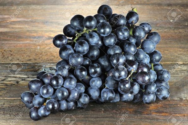 Videira de Uva de Mesa Tinta sem Grainhas🍇🖤 - Image 3
