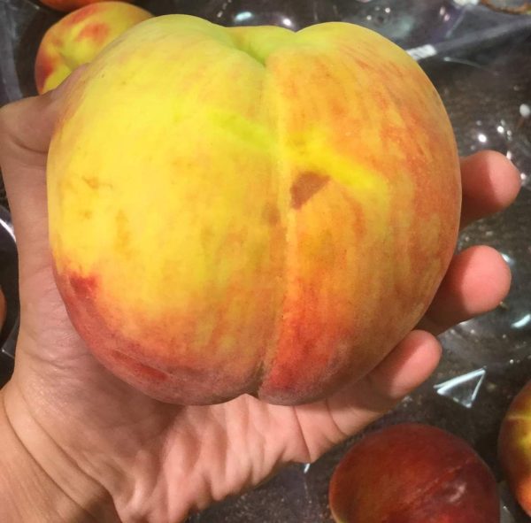Pessegueiro de fruto  Gigante - Image 5
