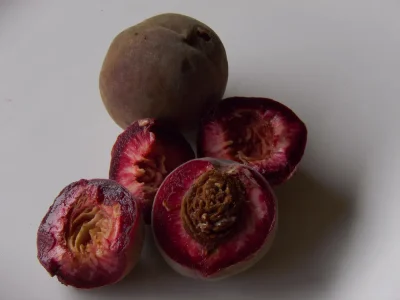 Pessegueiro de fruto Preto Gigante