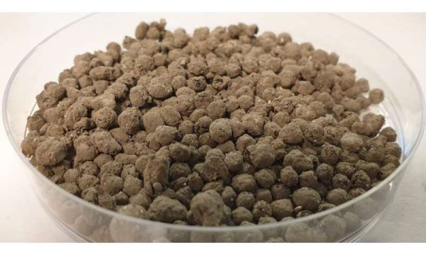 FERTILIZANTE SOLIDO NATURAL