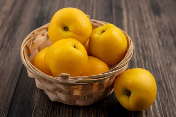 Nectarina Pérola de Mel - Nectacot