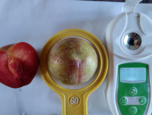MEDIDOR DIGITAL do AÇUCAR (BRIX) da FRUTA - Refractómetro - Image 10
