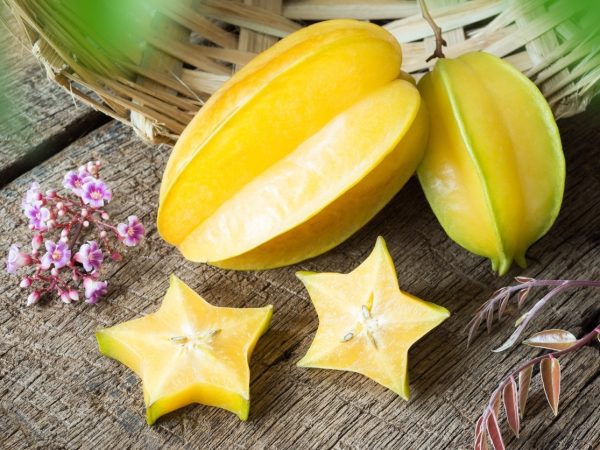 CARAMBOLA ANÃ - Fruta Estrela - Image 2