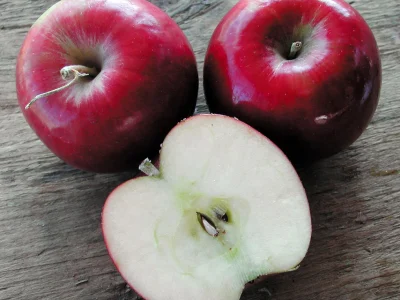 Macieira da maçã PRETA HOLANDESA🍎🖤🇳🇱