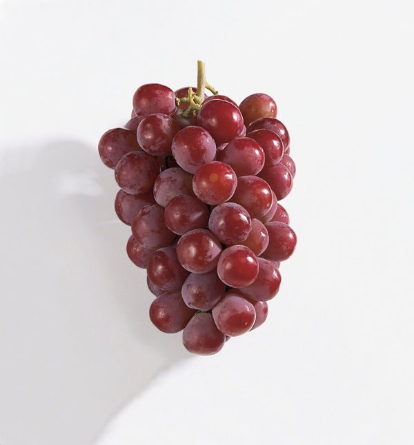 Videira de uvas Rosê Gigante🍇❤️ - Image 5