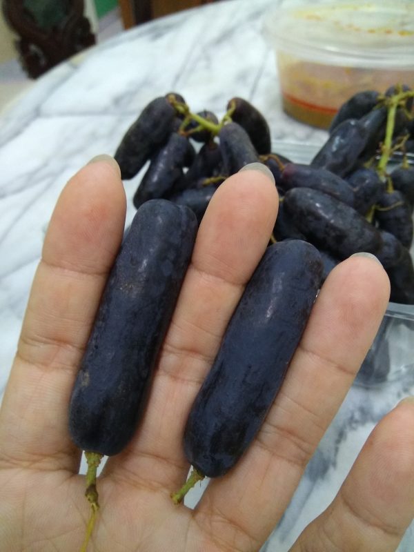 Videira de Dedo Safira🍇👆💎🖤 - Image 5
