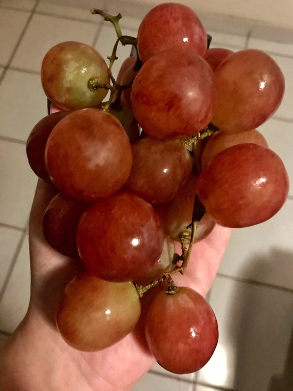 Videira de uvas Rosê Gigante🍇❤️ - Image 2