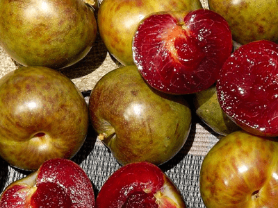 🇺🇸🍑Pluot Flavor Supreme 🍑🇺🇸