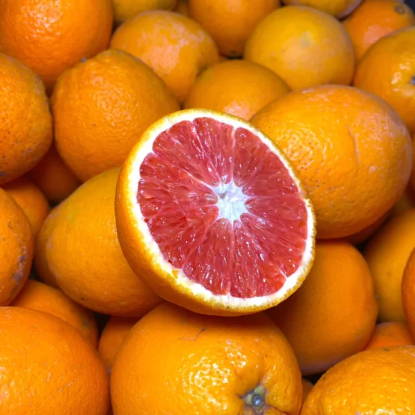 Laranjeira de Sangue Gigante Cara Cara🍊🩸😁🇻🇪 - Image 4