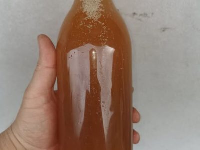 FERTILIZANTE LIQUIDO NATURAL de FLORAÇÂO