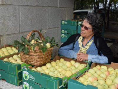 MACIEIRA da MAÇÃ BRAVE ESMOLFE🍏😁🇵🇹