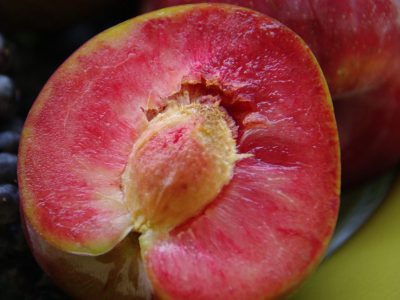 Ameixeira Borboleta Mariposa