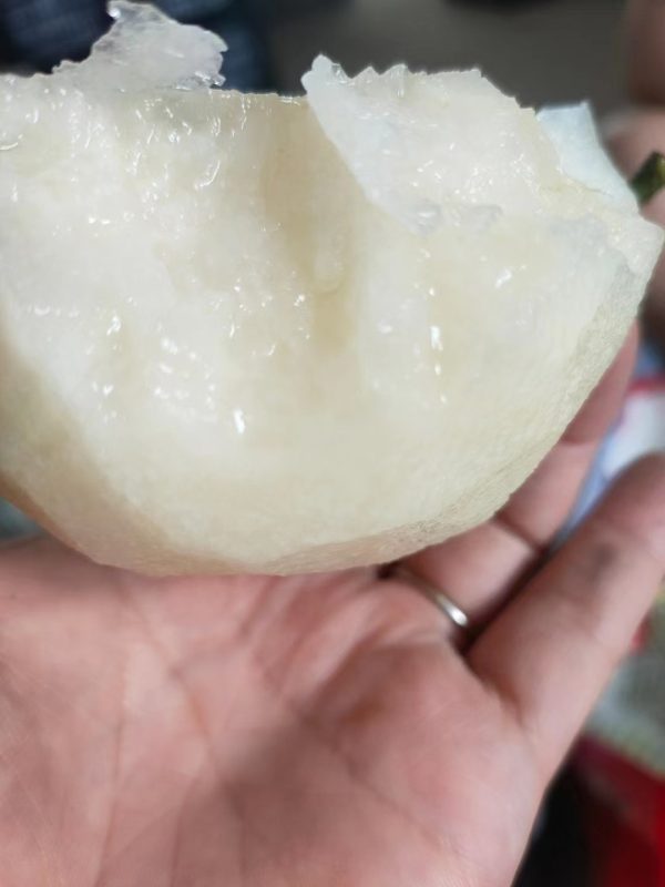Pereira Hibrida de Pera Gigante Amarela da China🍐😁💚🇨🇳 - Image 5