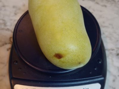 🇺🇸🌀Manga de frio (Paw paw) GIGANTE🌀🇺🇸