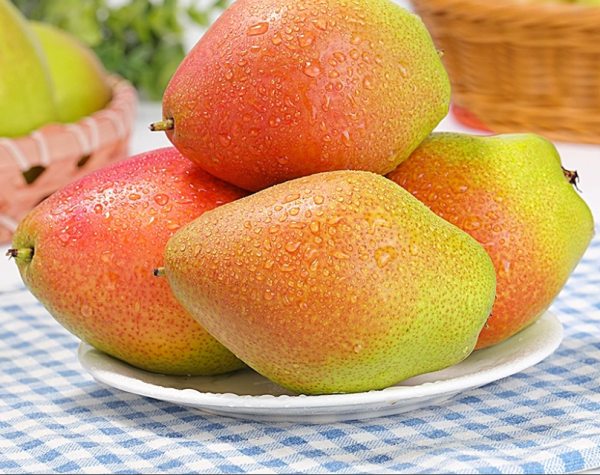 PEREIRA da PERA PERFUMADA🍐🌀🇨🇳 - Image 5