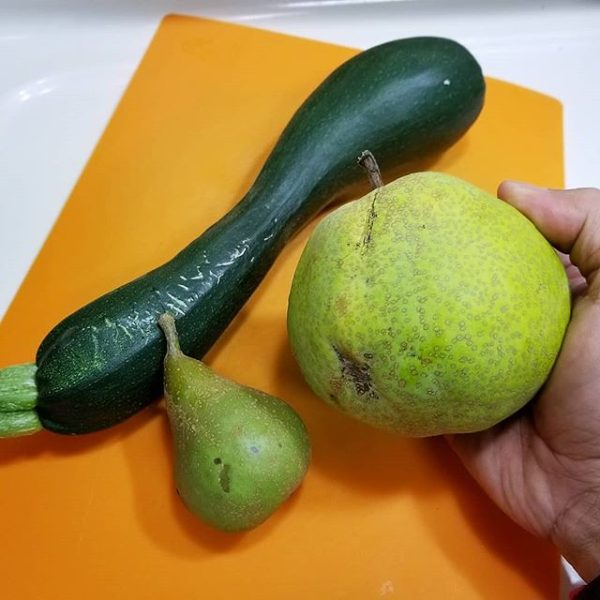 Pereira Hibrida de Pera Gigante Amarela da China🍐😁💚🇨🇳 - Image 3
