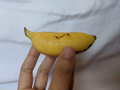 BANANEIRA da banana de dedo de sabor baunilha