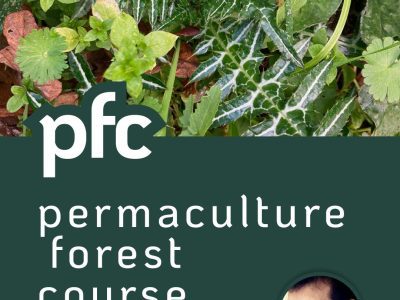 Curso de um dia sobre poda e promares