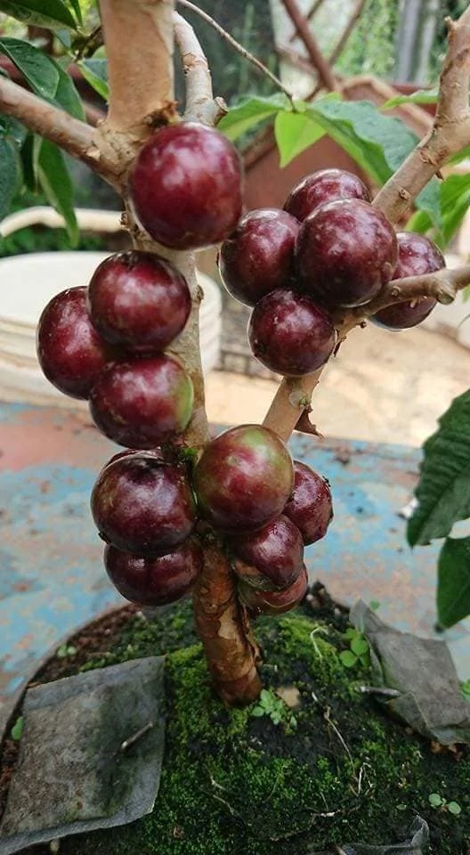 df0b6a93-0506-4013-8f68-1c0c1b5228d7