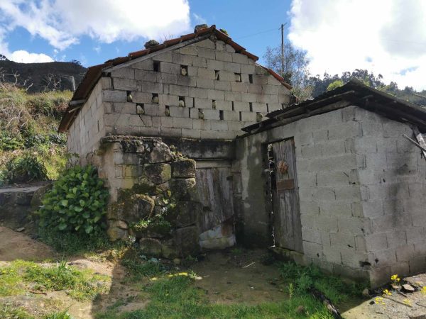🏡2 Hectar selfsuficient farm for sale close to the Douro River Porto - Image 3