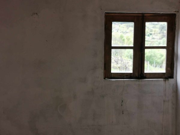 🏡2 Hectar selfsuficient farm for sale close to the Douro River Porto - Image 12